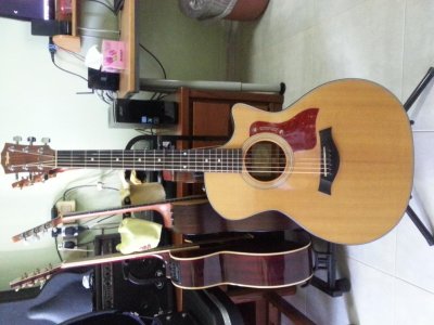 Taylor314CE-2011a.jpg