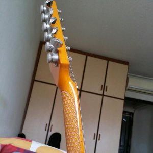 dean_zelinsky_tagliare_zglide_standard_1427425906_d551daaa.jpg