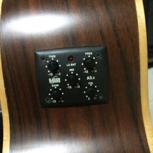 maestro_custom_series_acoustic_guitar_1427467758_64cafa4a.jpg