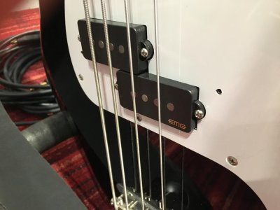 P Bass (2).jpg