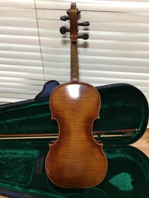 violin5.jpg