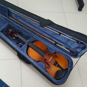 violin_44_size_1443686414_aa4c68f1.jpg