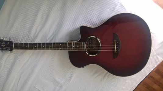 WP_20170122_10_59_28_Pro.jpg