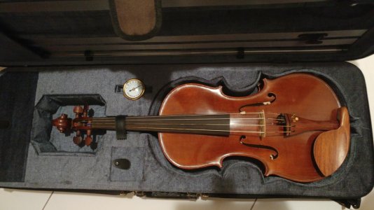 Viola.jpg