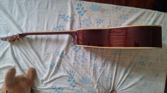 Ibanez_Side.jpg