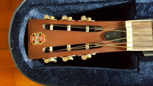 20170114_123144.jpg