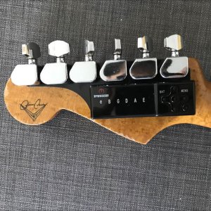 fender_stratocaster_neck_relic__tronical_tuner_1489194289_28106f85.jpg