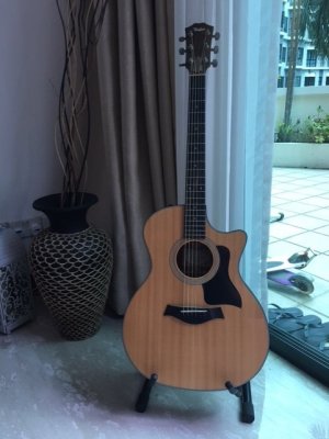 Taylor314.jpg