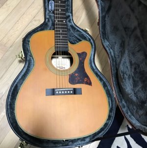 epiphone_masterbilt_ef500rcce_all_solid_wood_1477576615_d3874443.jpg