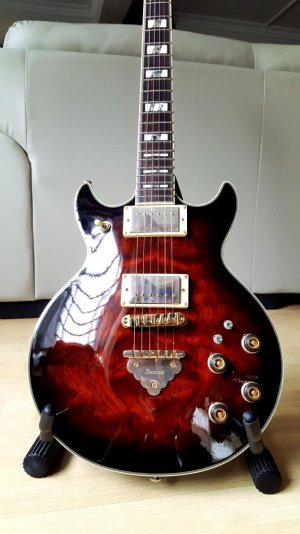 Ibanez AR325 (6).jpg