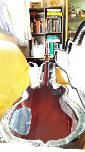 Ibanez AR325 (3).jpg