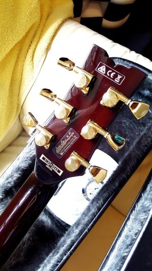 Ibanez AR325 (4).jpg