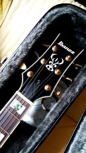 Ibanez AR325 (5).jpg