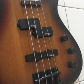 Bass 3.jpg