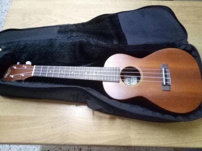 ukulele1.jpg