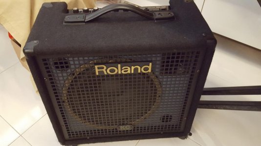 Roland Amp 1.jpg