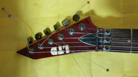 20170501_004216.jpg