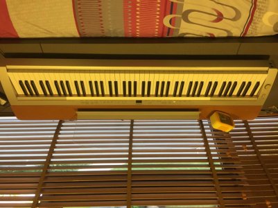 IMG_1462.jpg