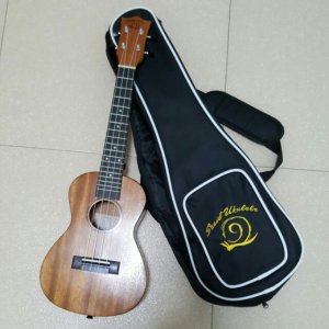 ukulele_concert_size_1492238344_2d19be8b.jpg