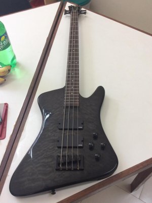 Bass 1.jpg