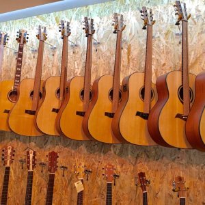 solid_top_guitars JB 2017.jpg