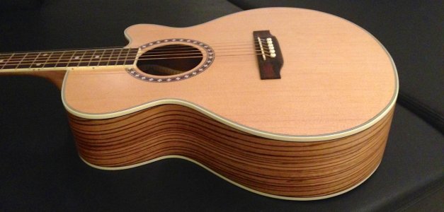 JG53A Spruce Top Zebrawood Sides Under Studio Lighting.jpg