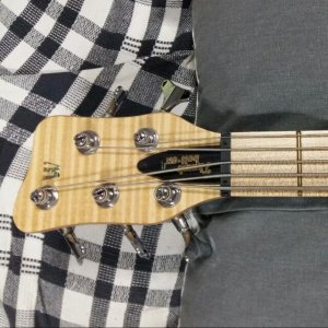 warwick_thumb_bass_2003_ltd_ed_bleached_blonde_5_string_bolt_on_1501759559_5c4dd364.jpg