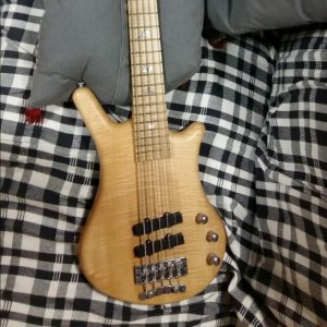 warwick_thumb_bass_2003_ltd_ed_bleached_blonde_5_string_bolt_on_1501759559_09e82218.jpg