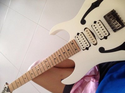 Ibanez PGM301.jpg