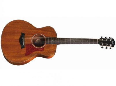 Taylor-GS-Mini-e-MAH-fr-2016.jpg