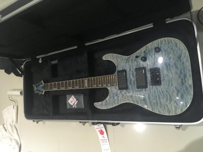 ltd guitar.jpg