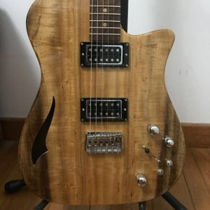 rice_custom_guitar_osprey_boutique_tele_style_1509369081_6174838f.jpg