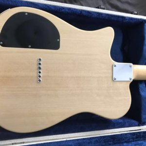 rice_custom_guitar_osprey_boutique_tele_style_1509369082_44e7e133.jpg