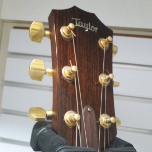 wtts_taylor_gs8e_1514980631_e898deab.jpg