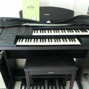 organ.jpg