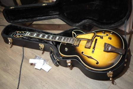 Ibanez img 1.jpg