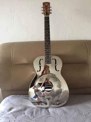 DOBRO-HOUND DOG.jpg