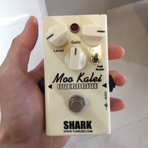 shark_moo_kalei_od_1523439899_87296f82.jpg