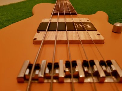 20180125_225621.jpg