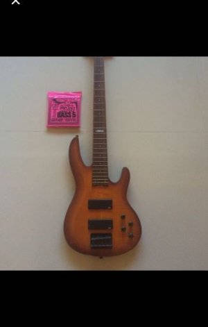 Basss1.JPG