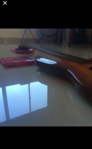 basss3.JPG