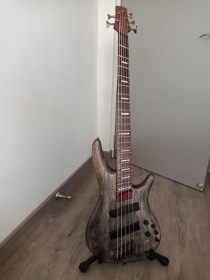 Ibanez 1.jpg