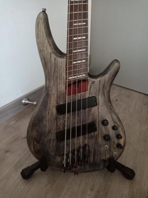 Ibanez 2.jpg