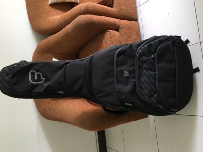 guitar bag F1.JPG