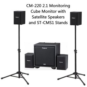 CM220.JPG
