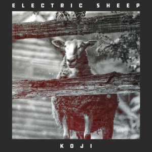Electric-Sheep.jpg