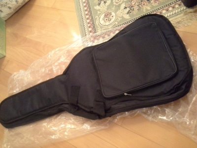Guitar softcase.jpg