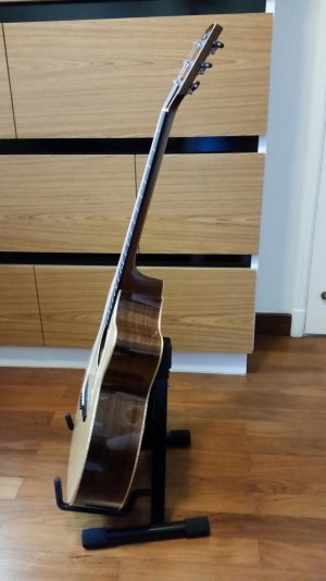 Goodall Handmade Acoustic guitar side view.jpg