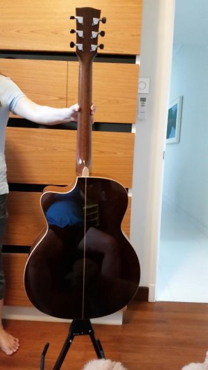 Goodall Handmade Acoustic guitar Back.jpg
