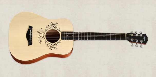 TSBT-front-taylor-guitars-large.jpg